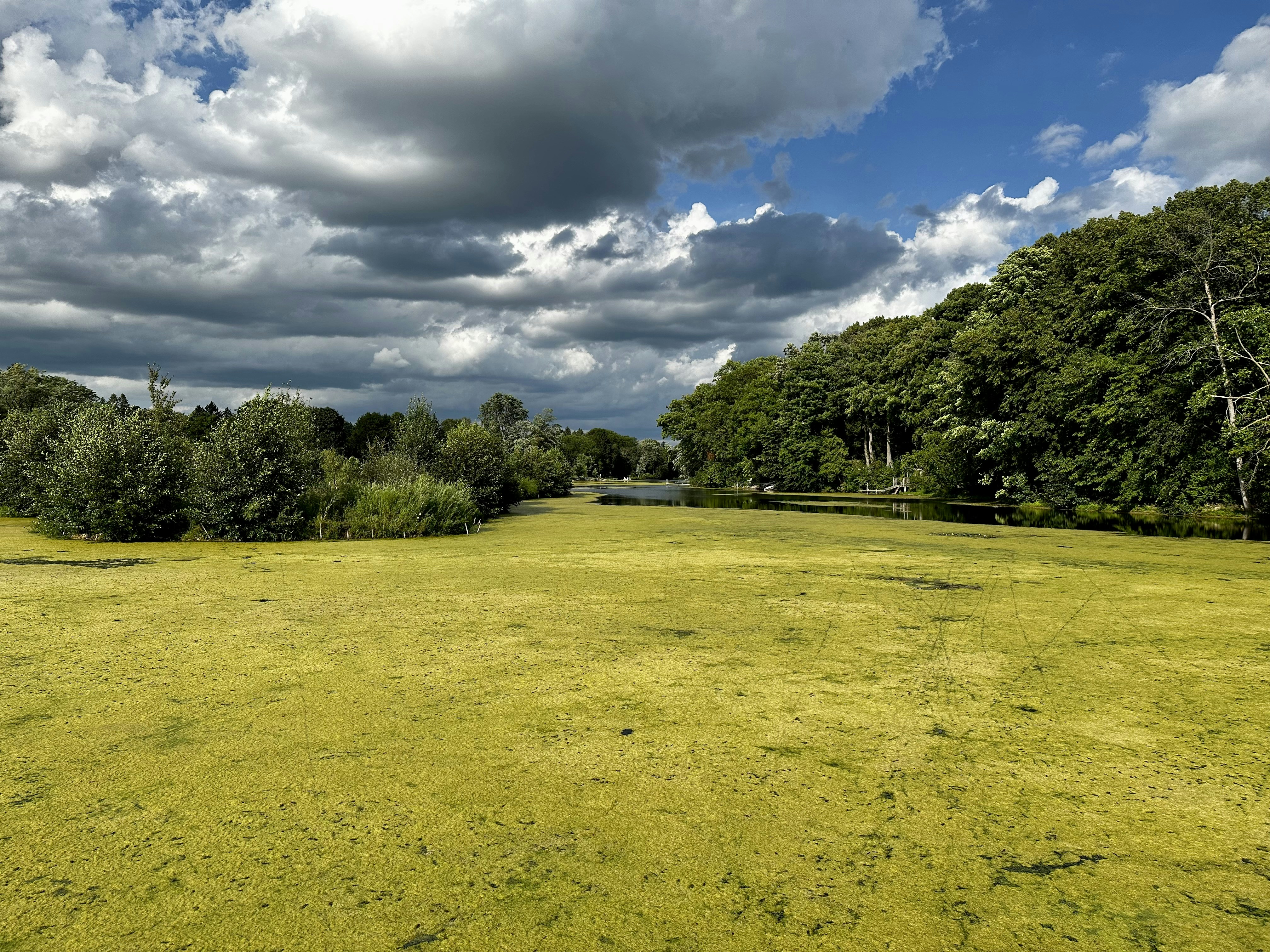 Image by Ted Balmer via Unsplash