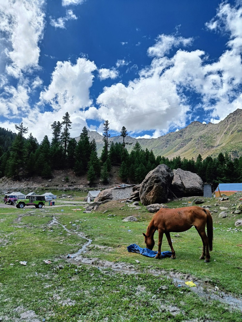 a horse eating grass in a field with mountains in the background