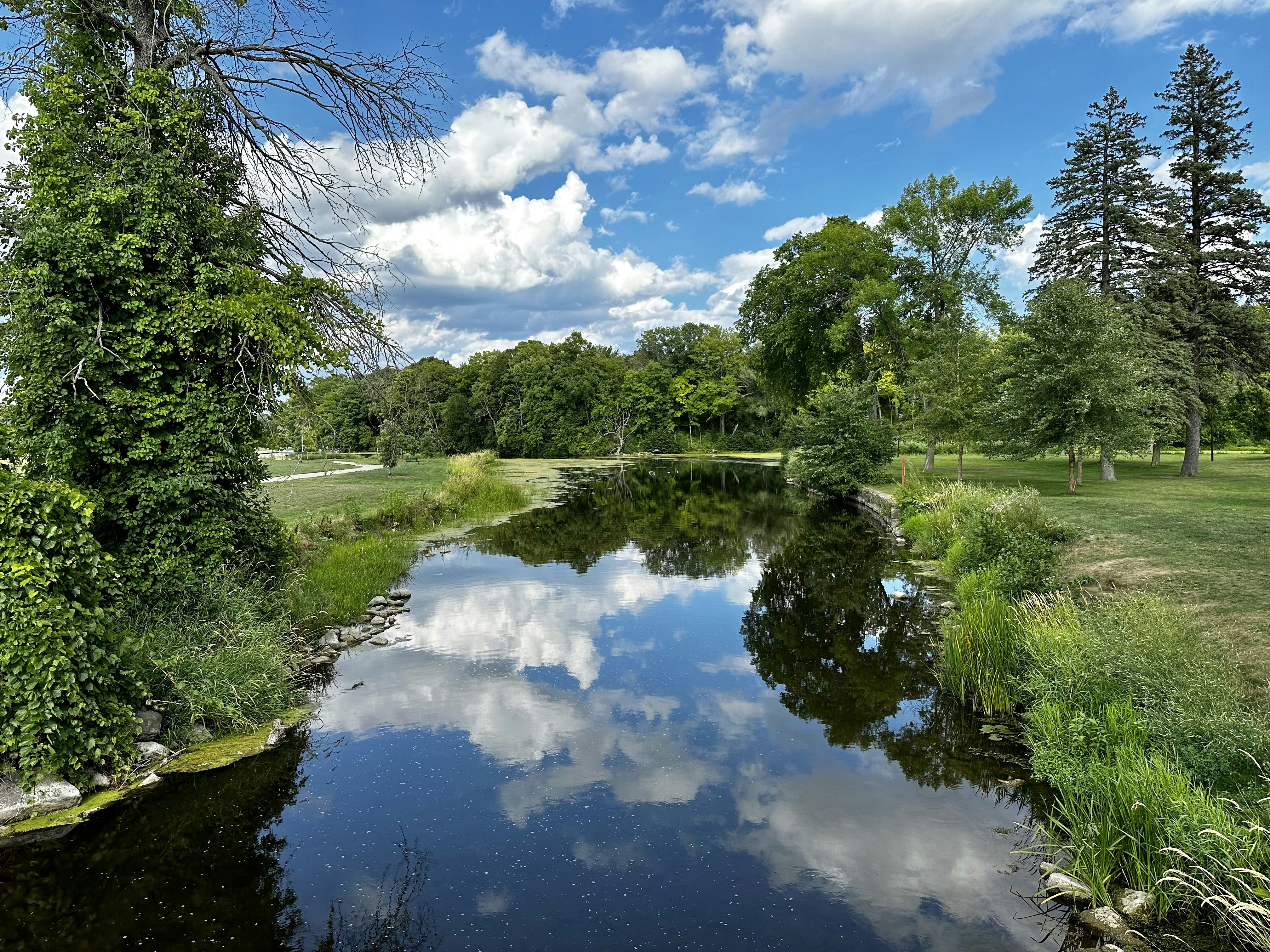 Photo by midkiffaries