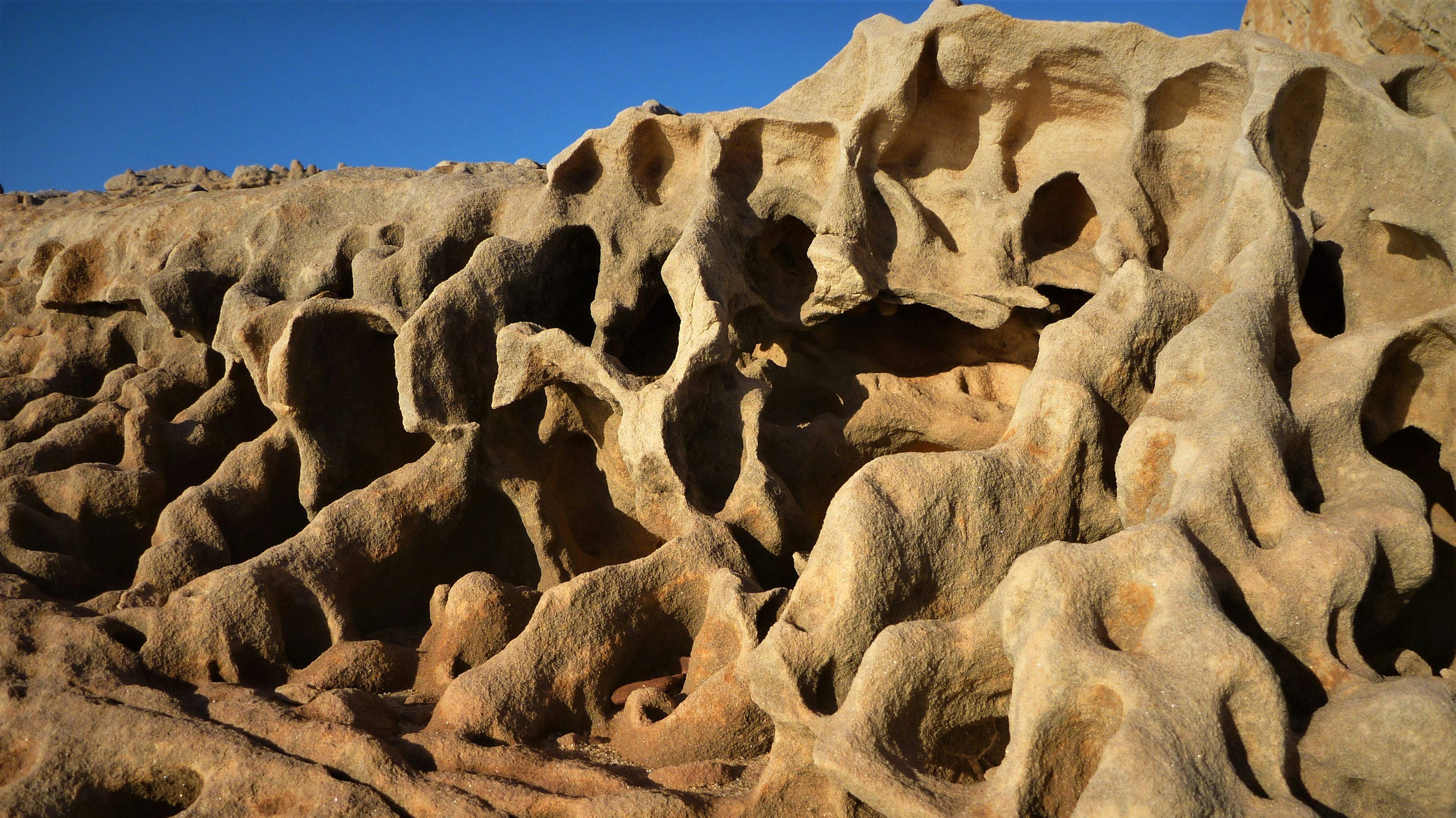 Photo by photoken123