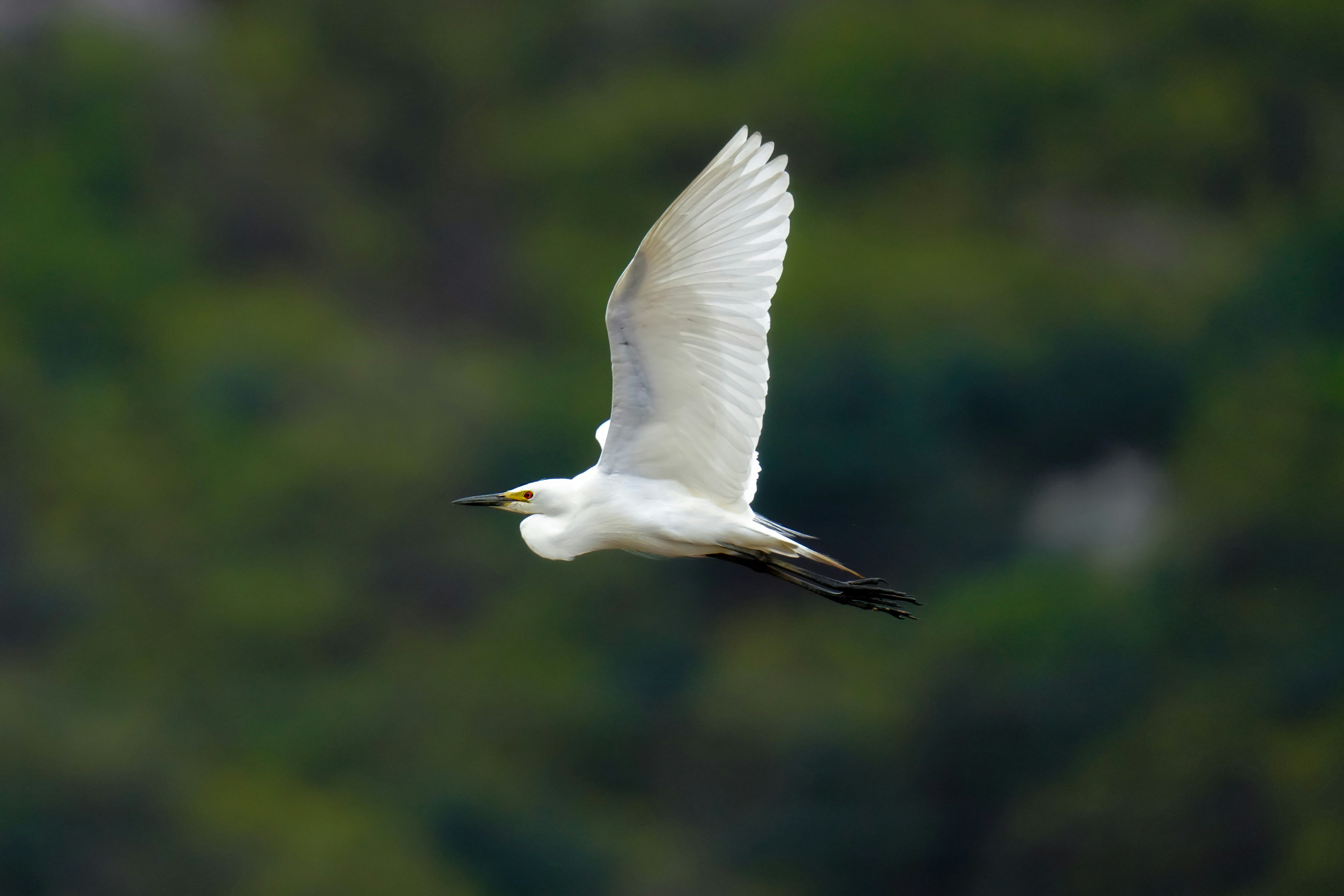 Photo by kim_dae_jeung