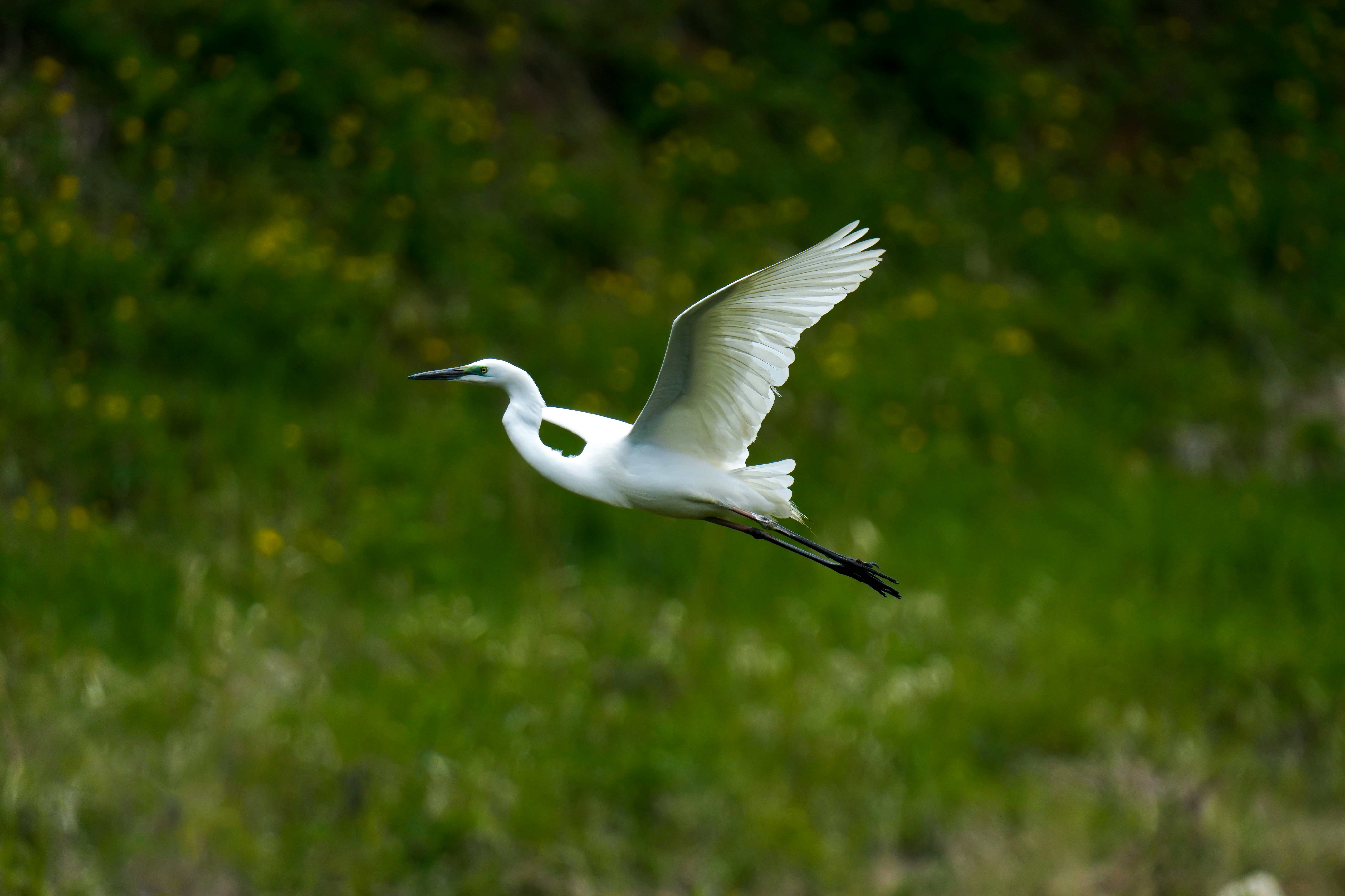 Photo by kim_dae_jeung