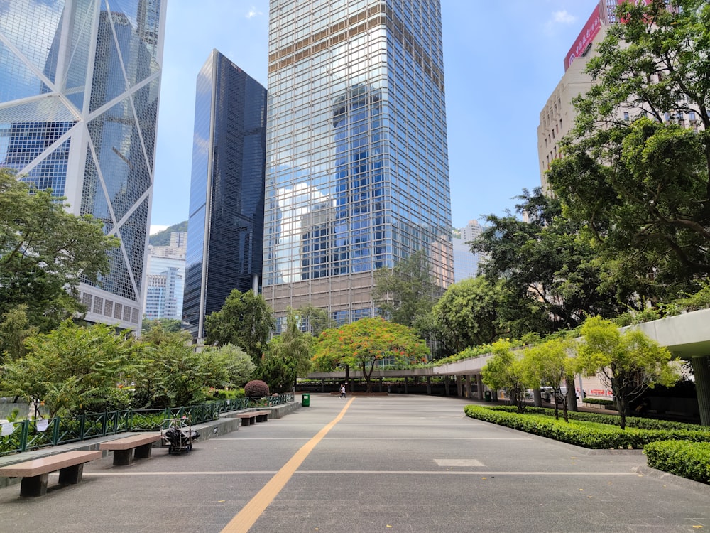 a park with benches and trees in the middle of it