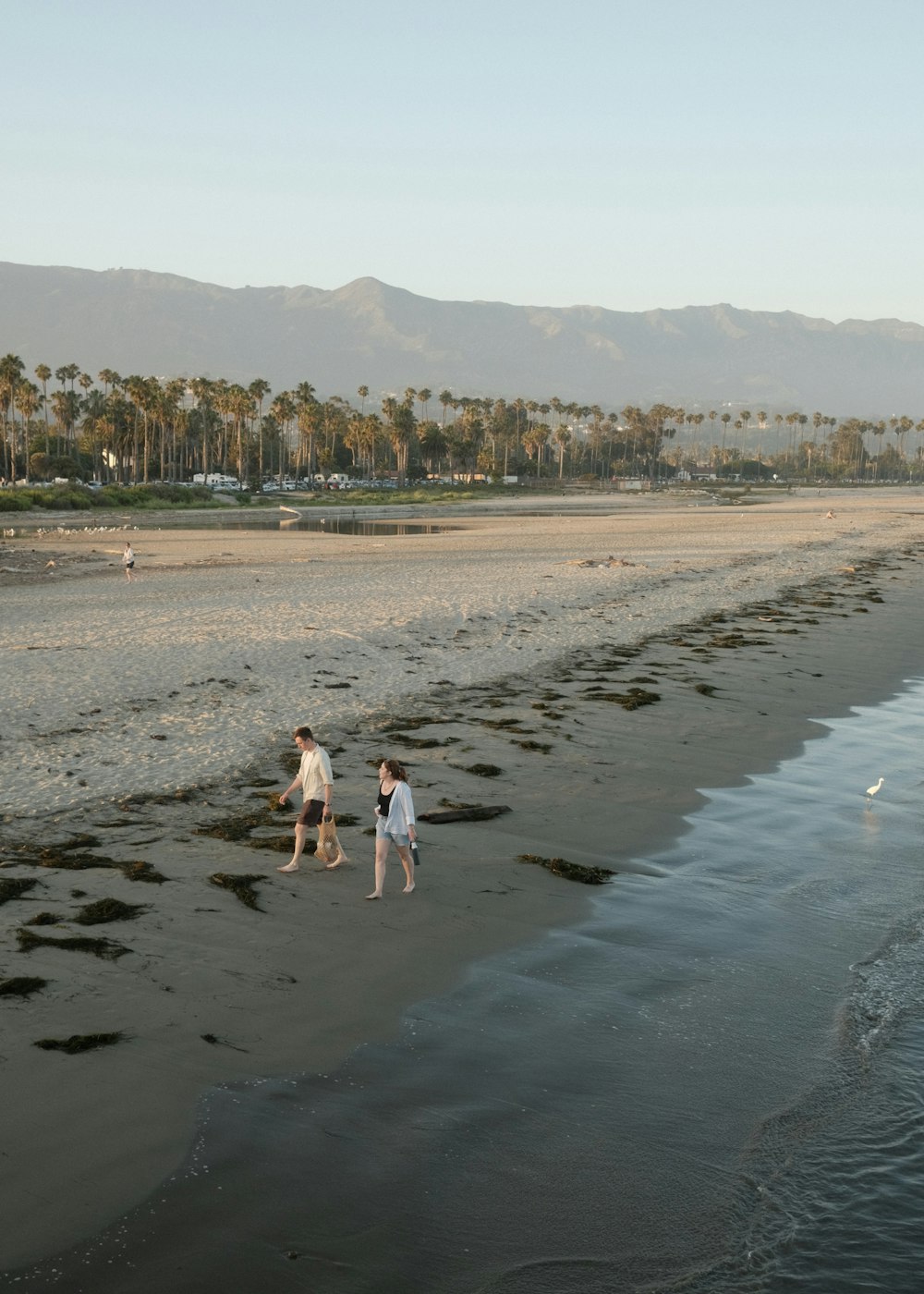 um casal de pessoas caminhando ao longo de uma praia perto do oceano