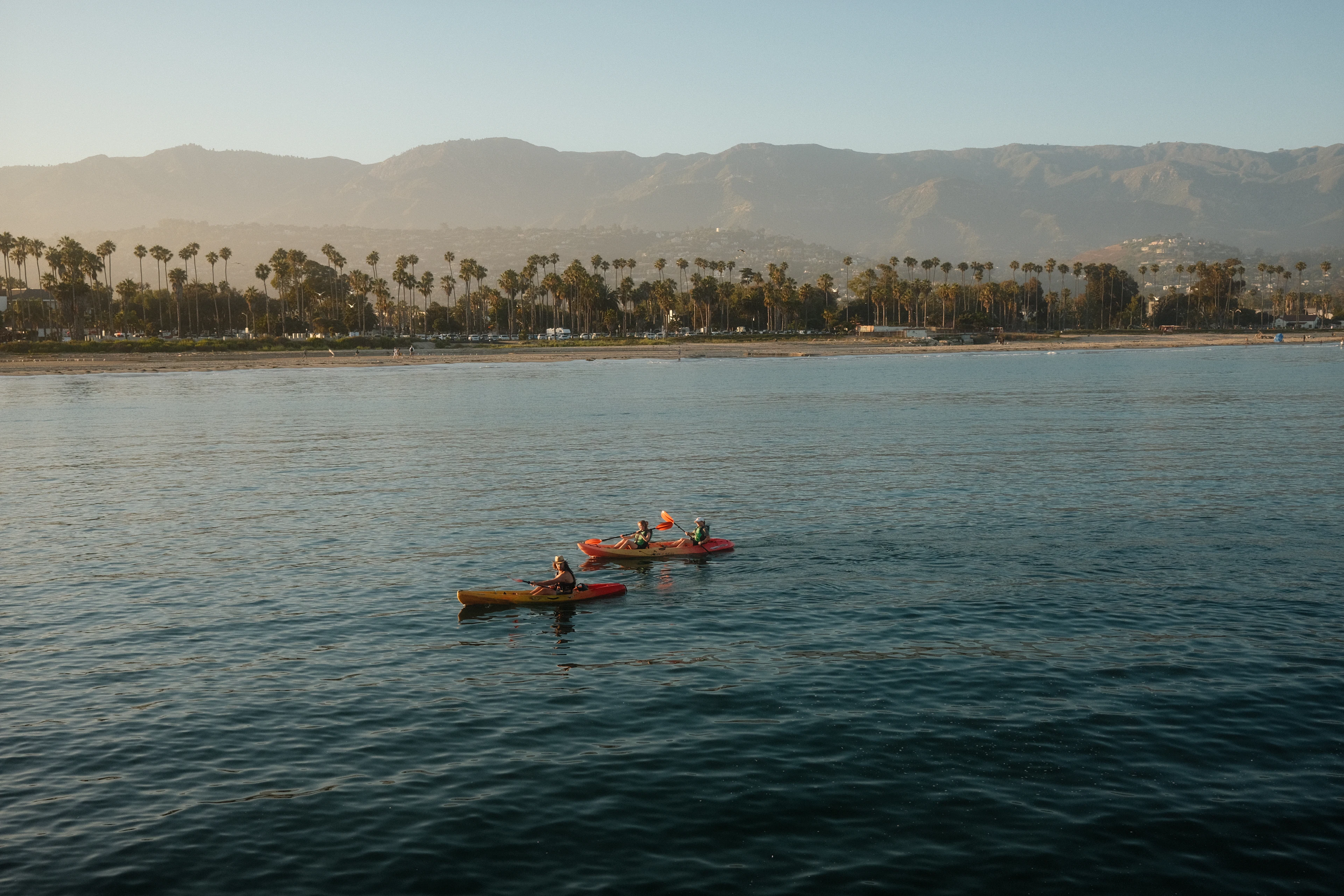 Kayakers on the calm bay at Santa Barbara in evening light, with palms and mountains behind