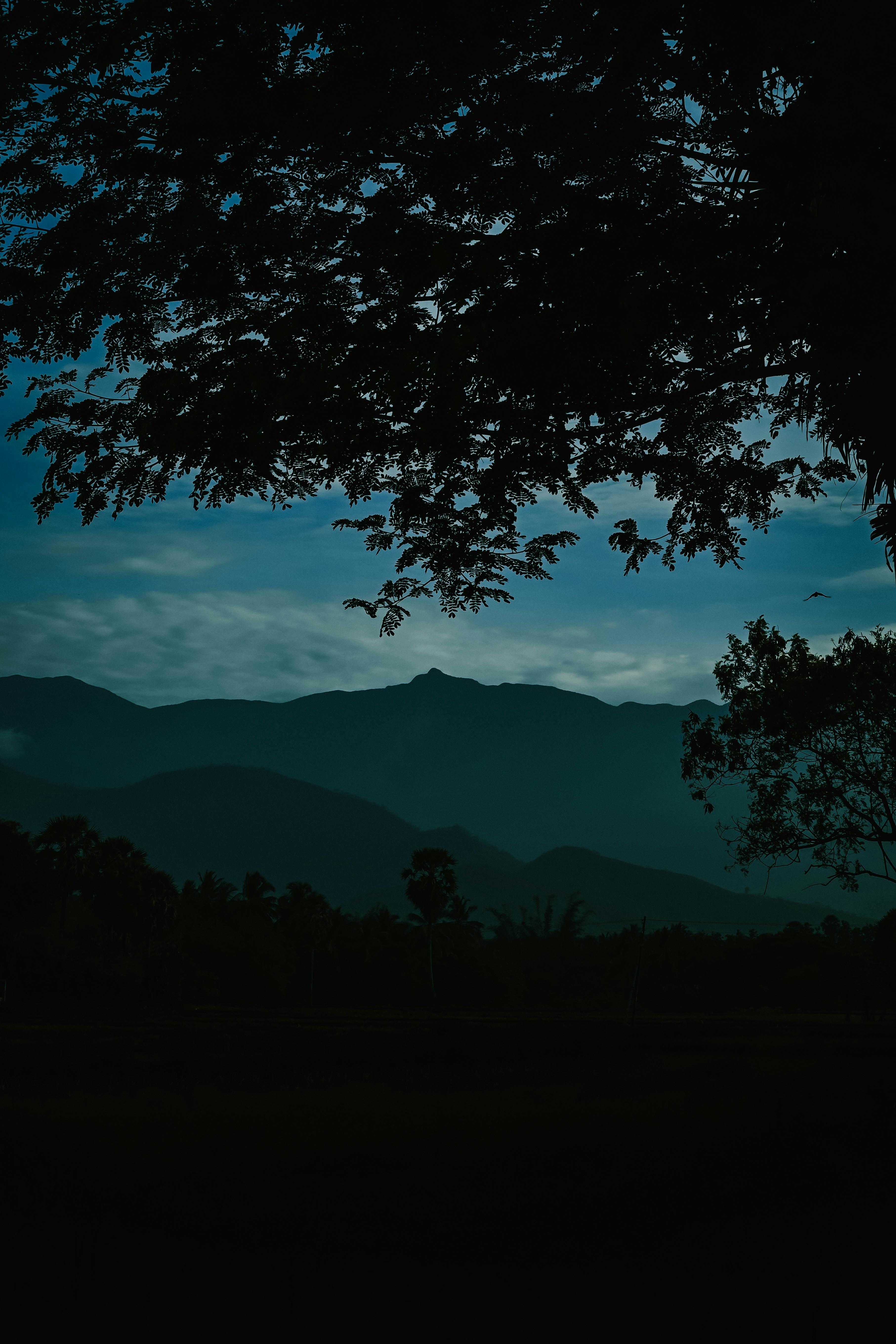 a view of a mountain range at night