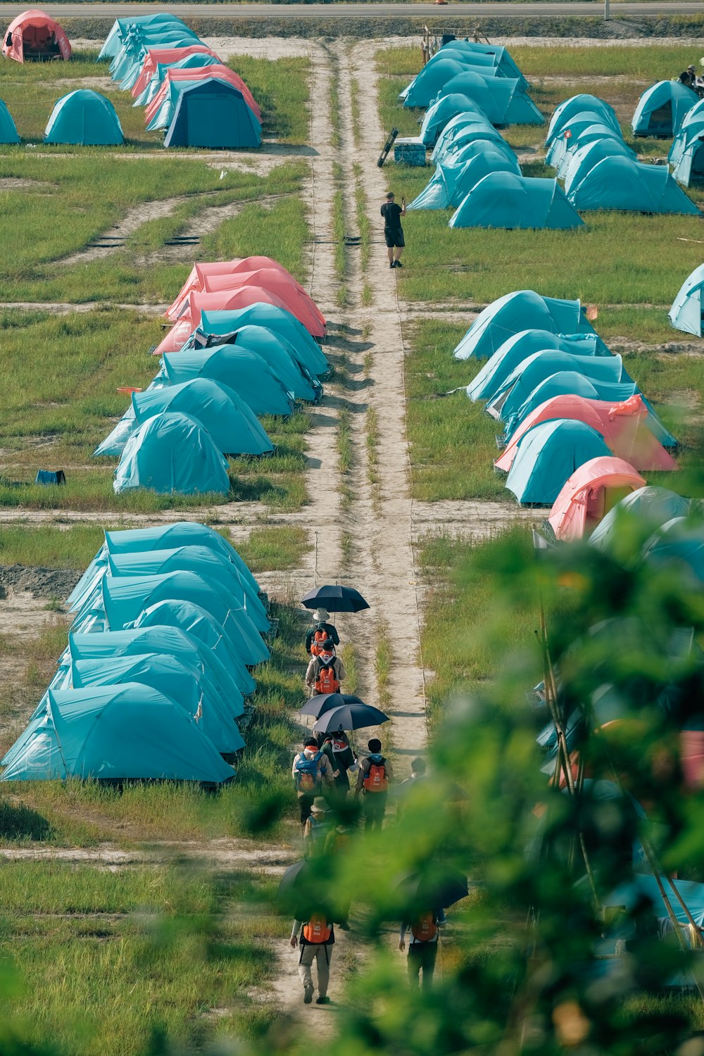 un gruppo di persone con ombrelli in piedi in un campo