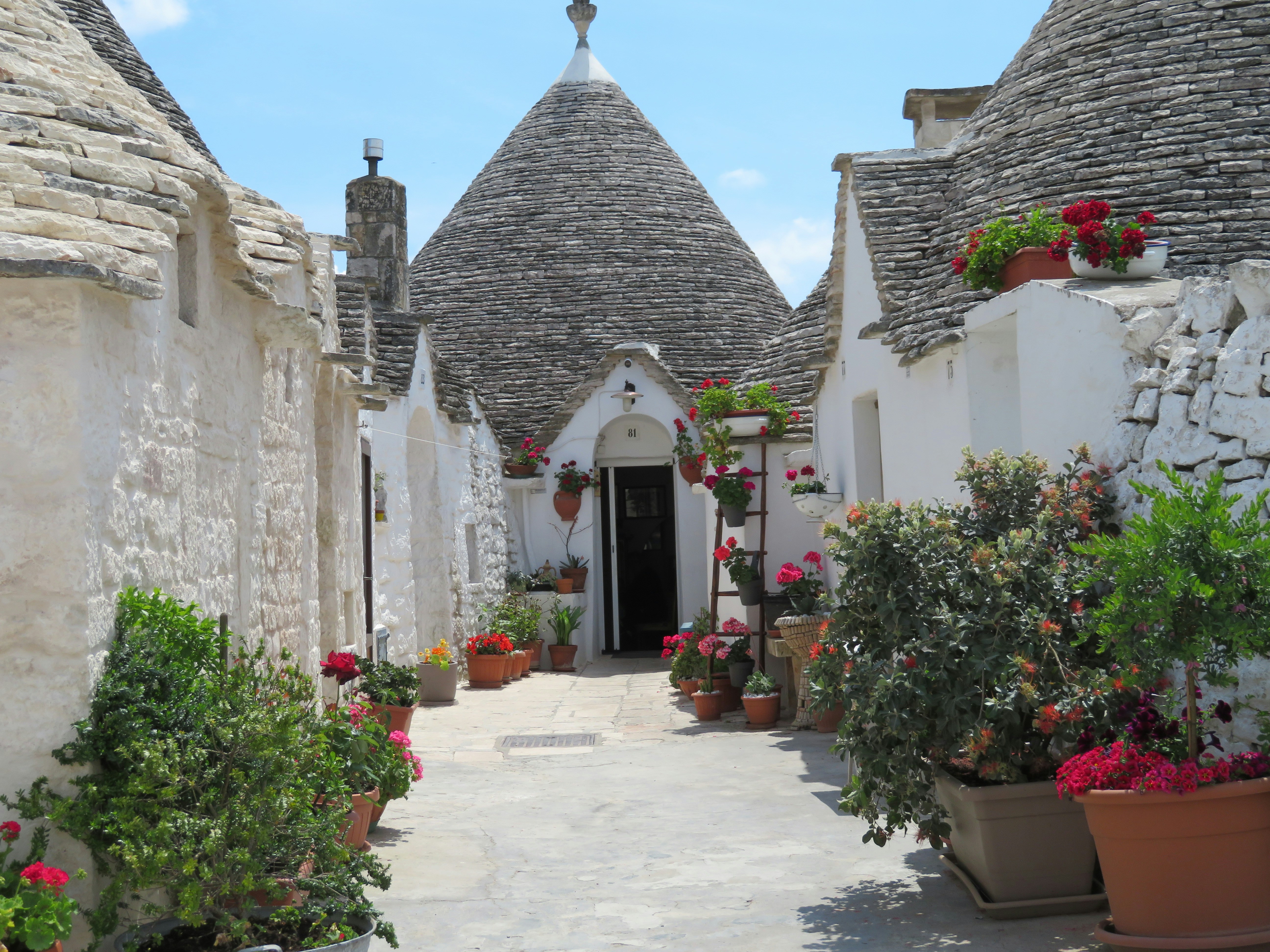 Photo by sorenhchristensen