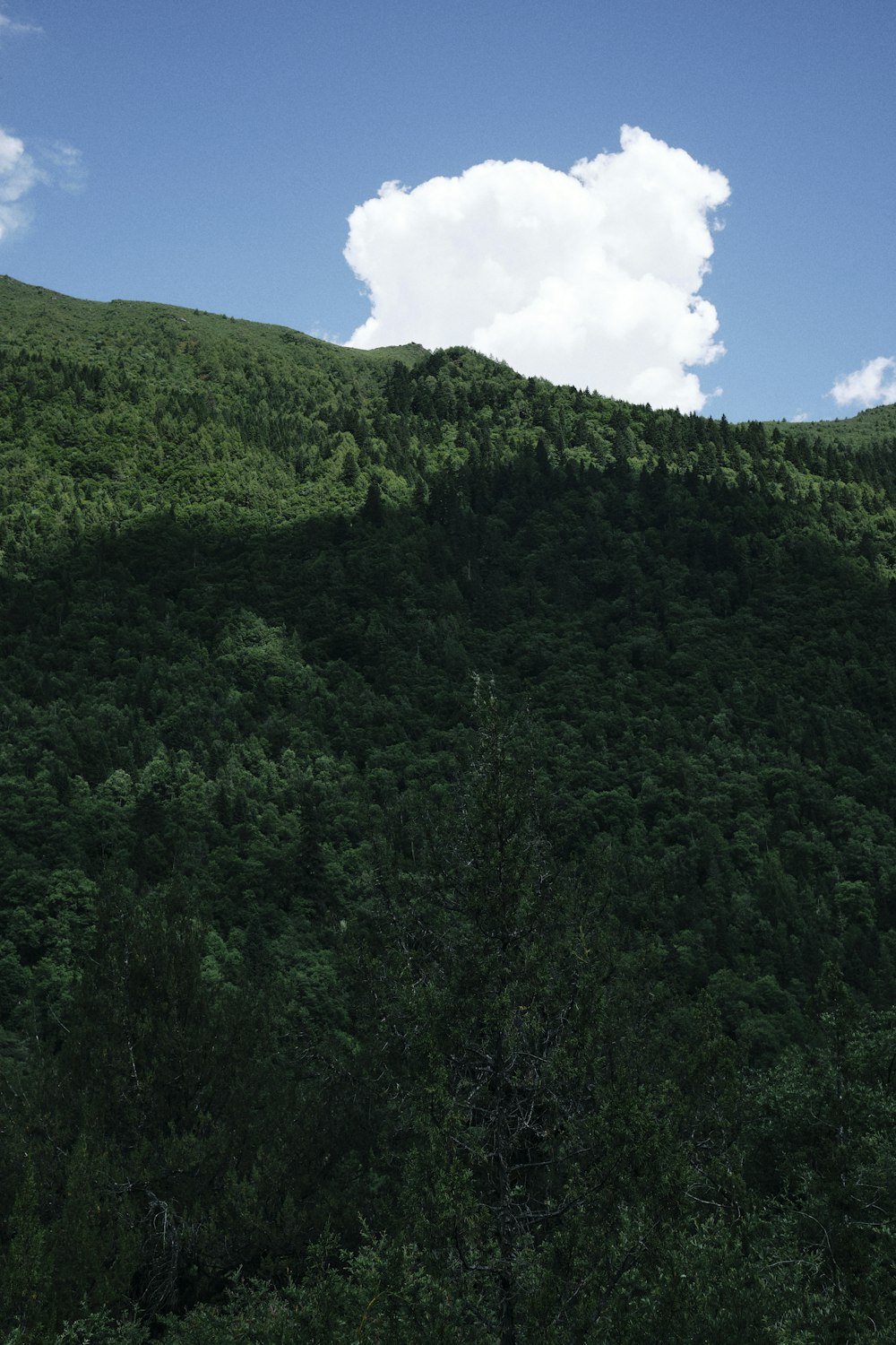 a mountain with a cloud in the sky