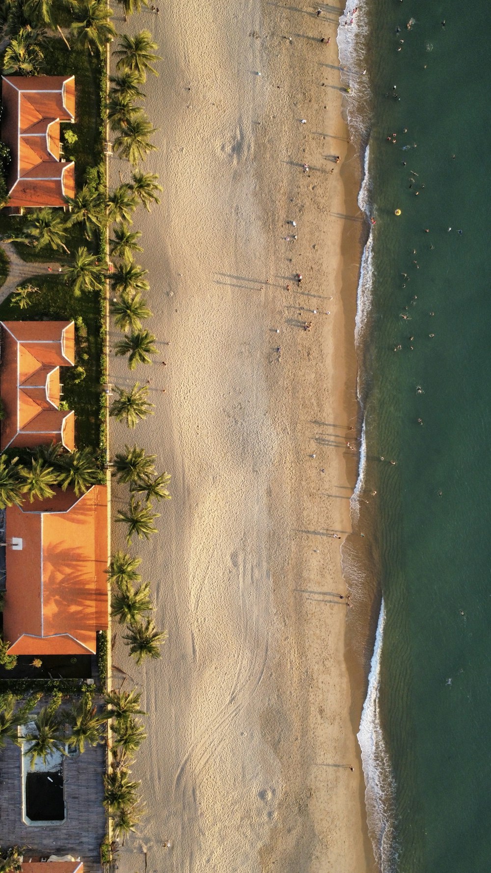 an aerial view of a beach with umbrellas and palm trees