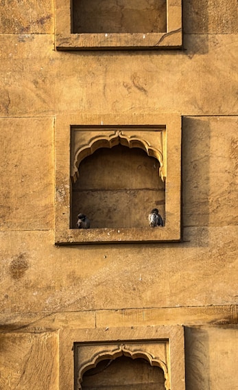 A stone wall with ornate framed niches featuring decorative arches. Two birds are perched inside the lower niche, creating a harmonious balance with the architectural elements. The warm tones of the stone are highlighted by sunlight.