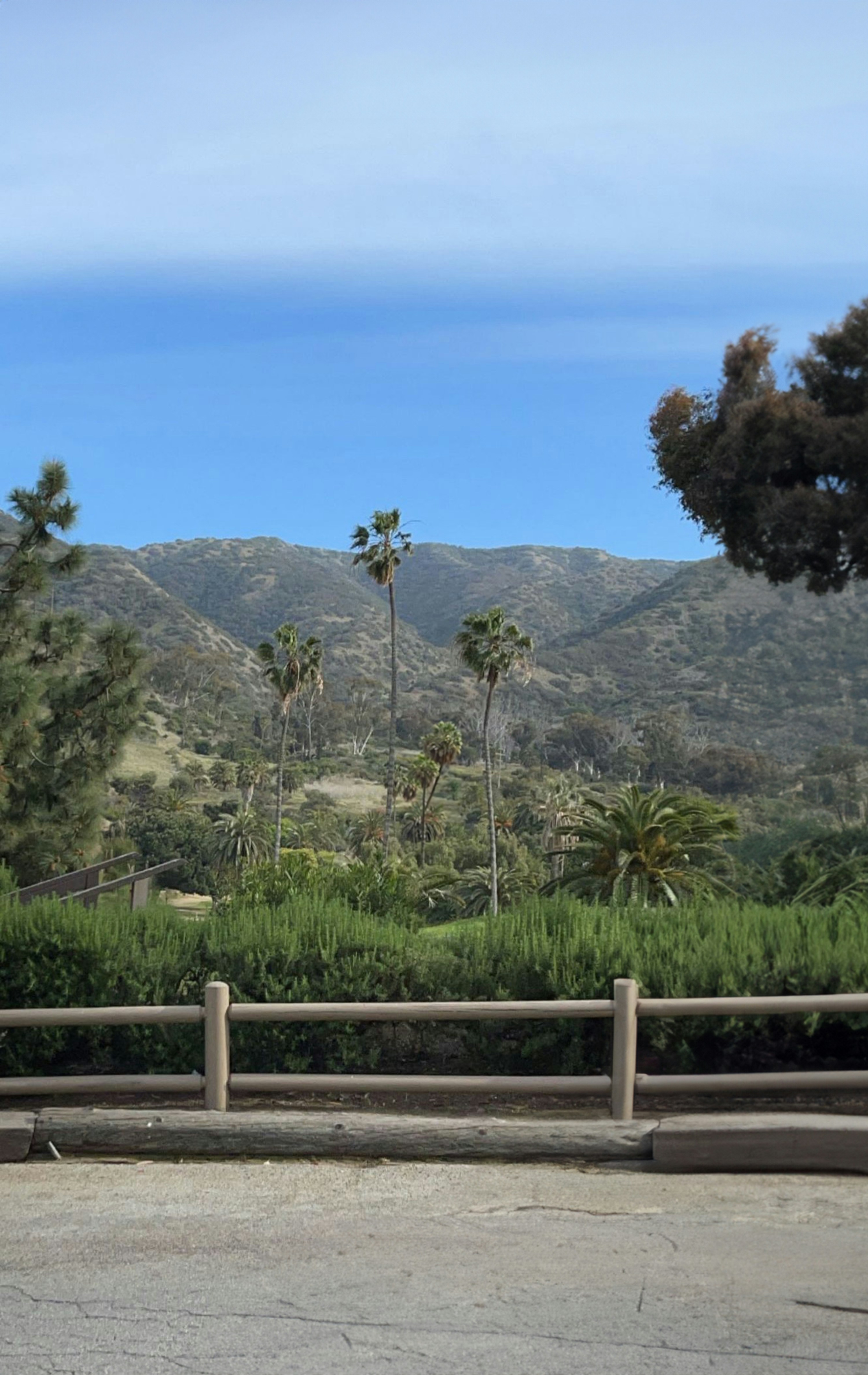 Un hombre montando una patineta por una calle