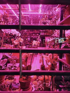 Close-up of colorful 3D printed flower pots glowing under neon lights.