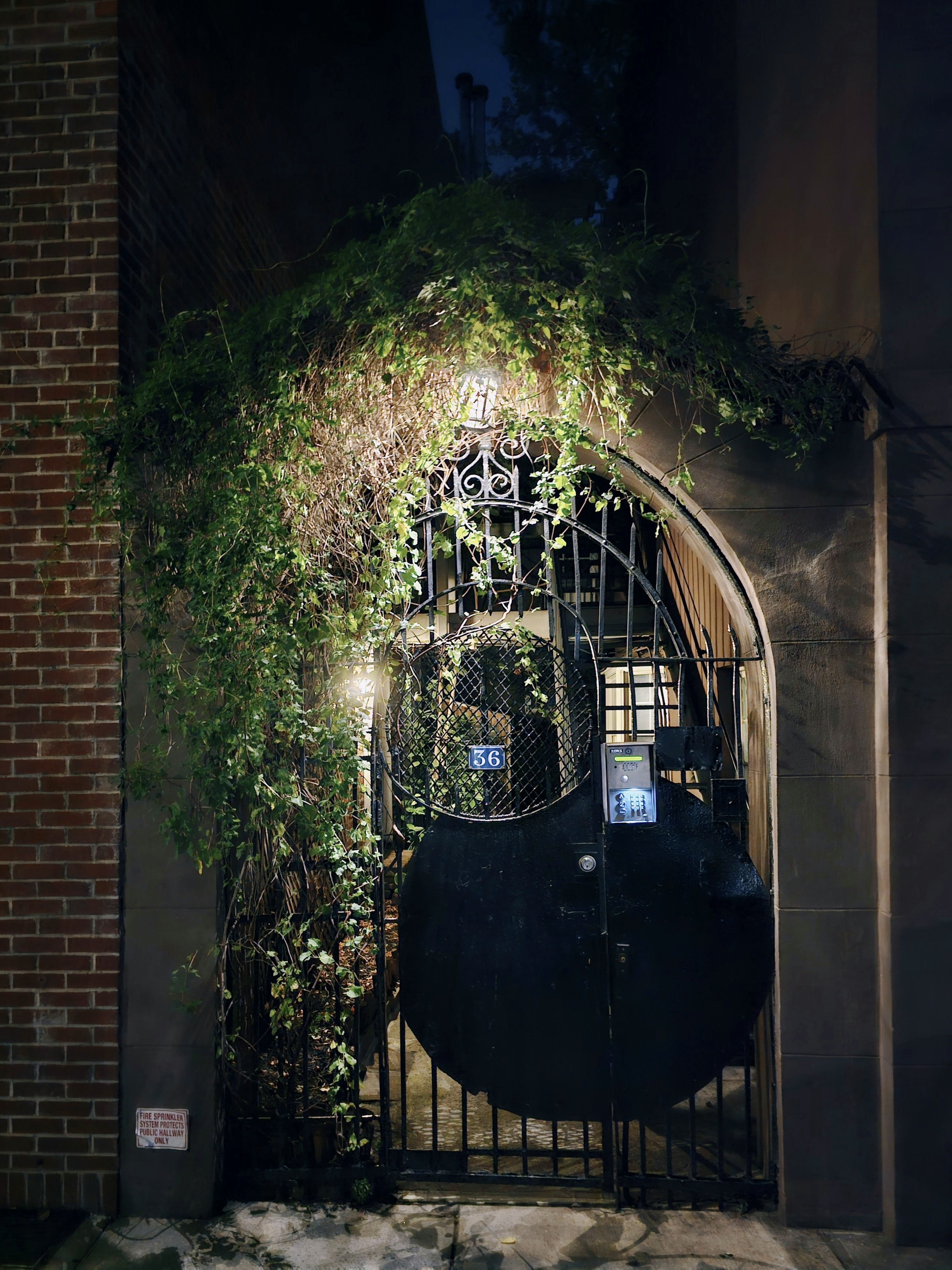 an iron gate with vines growing over it