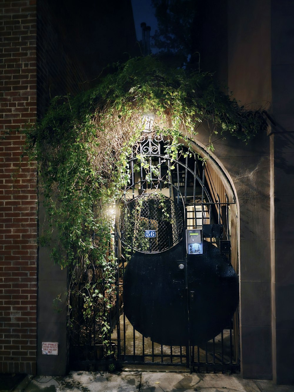 an iron gate with vines growing over it