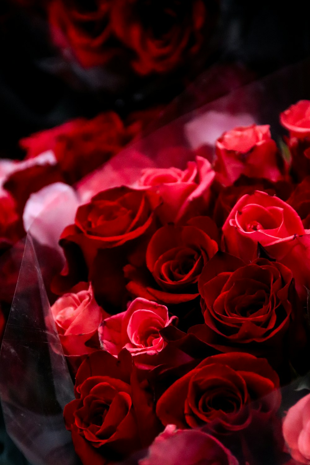 a bunch of red roses sitting on a table