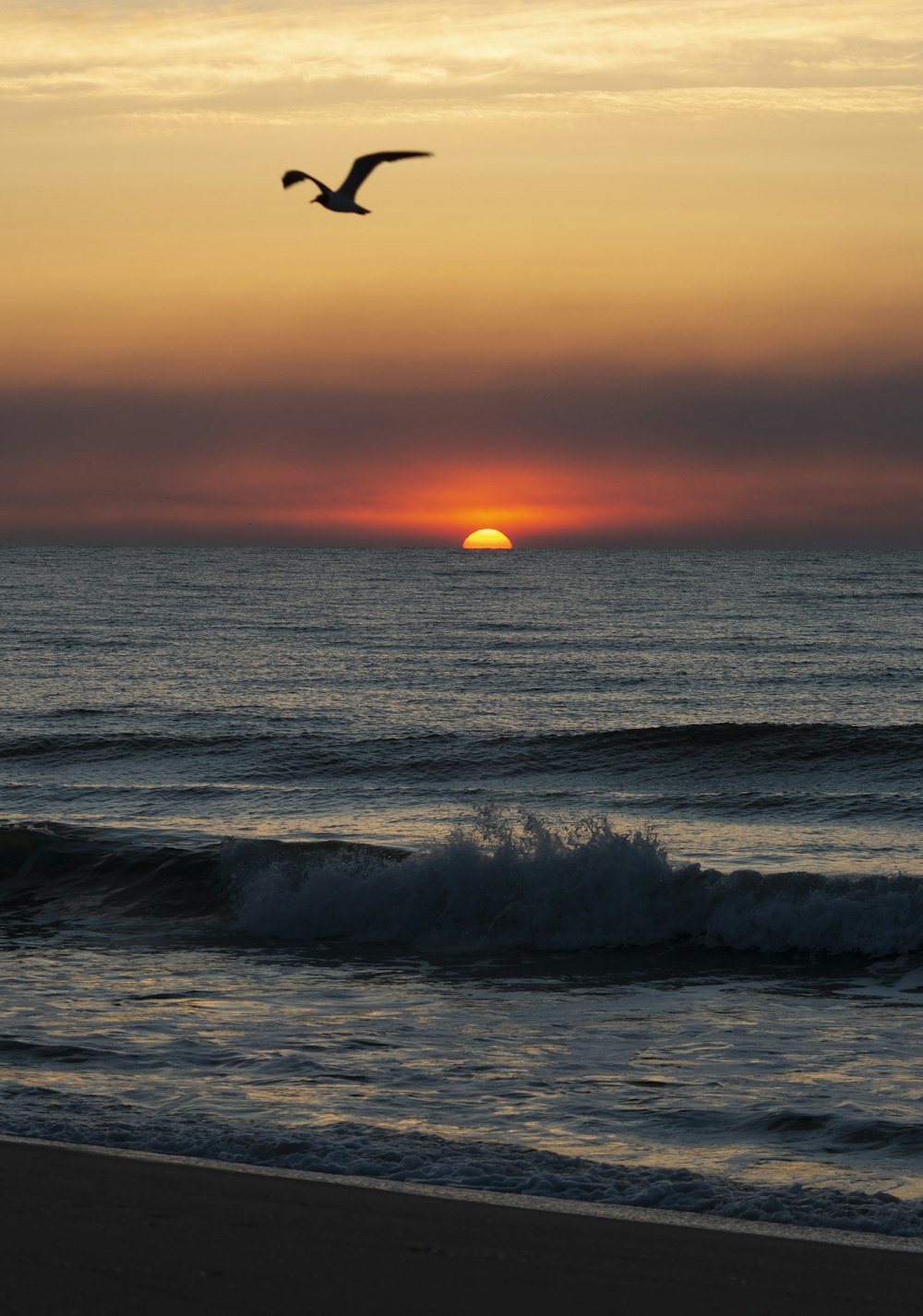 a bird flying over the ocean at sunset