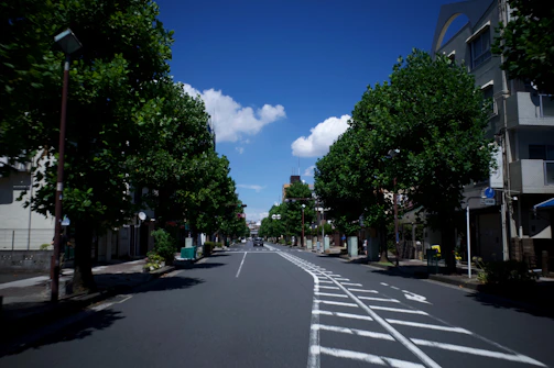 A peaceful view of a tree-lined street with modern townhomes under a bright blue sky.