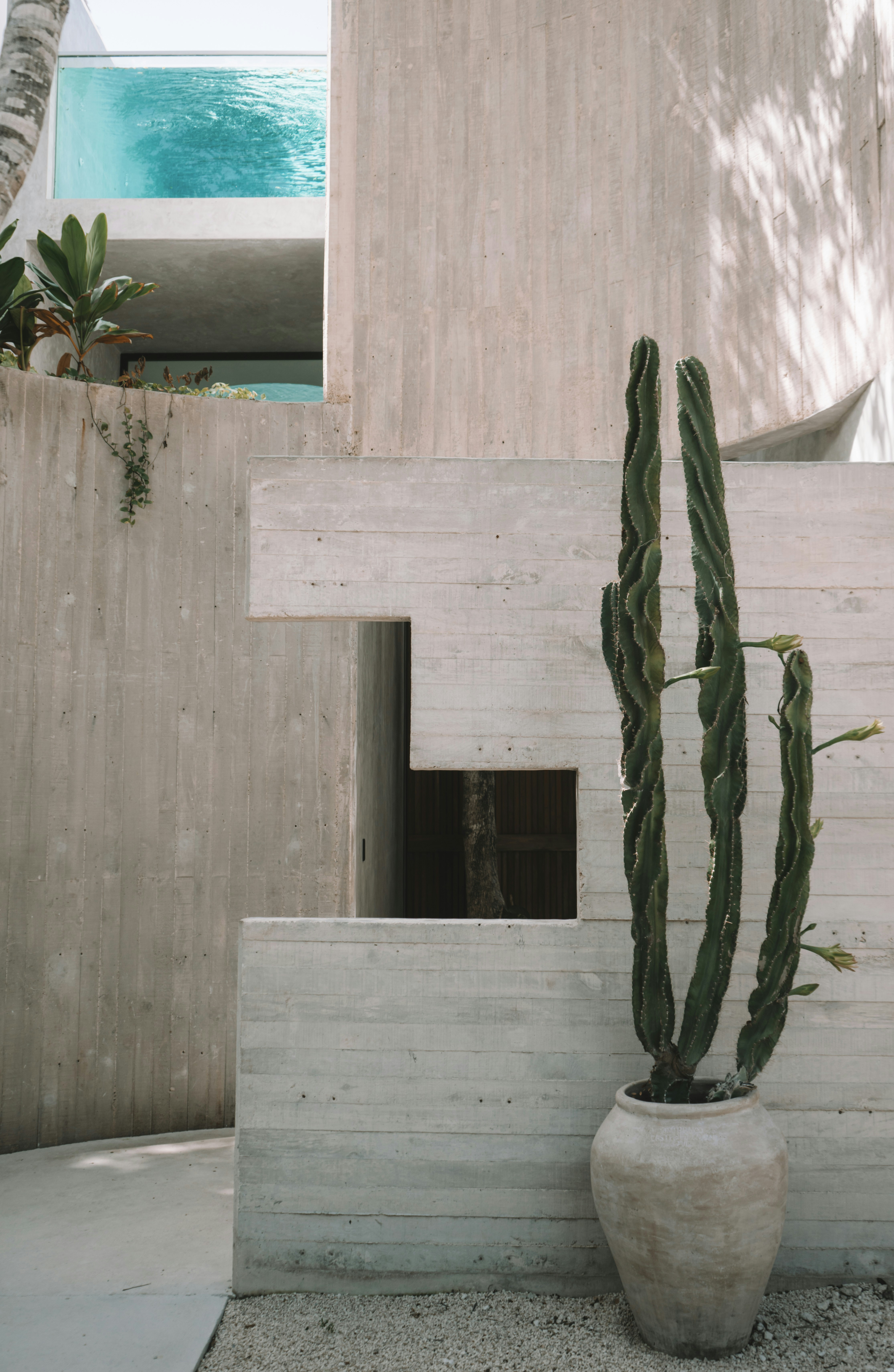 Photo by fitogarciaa