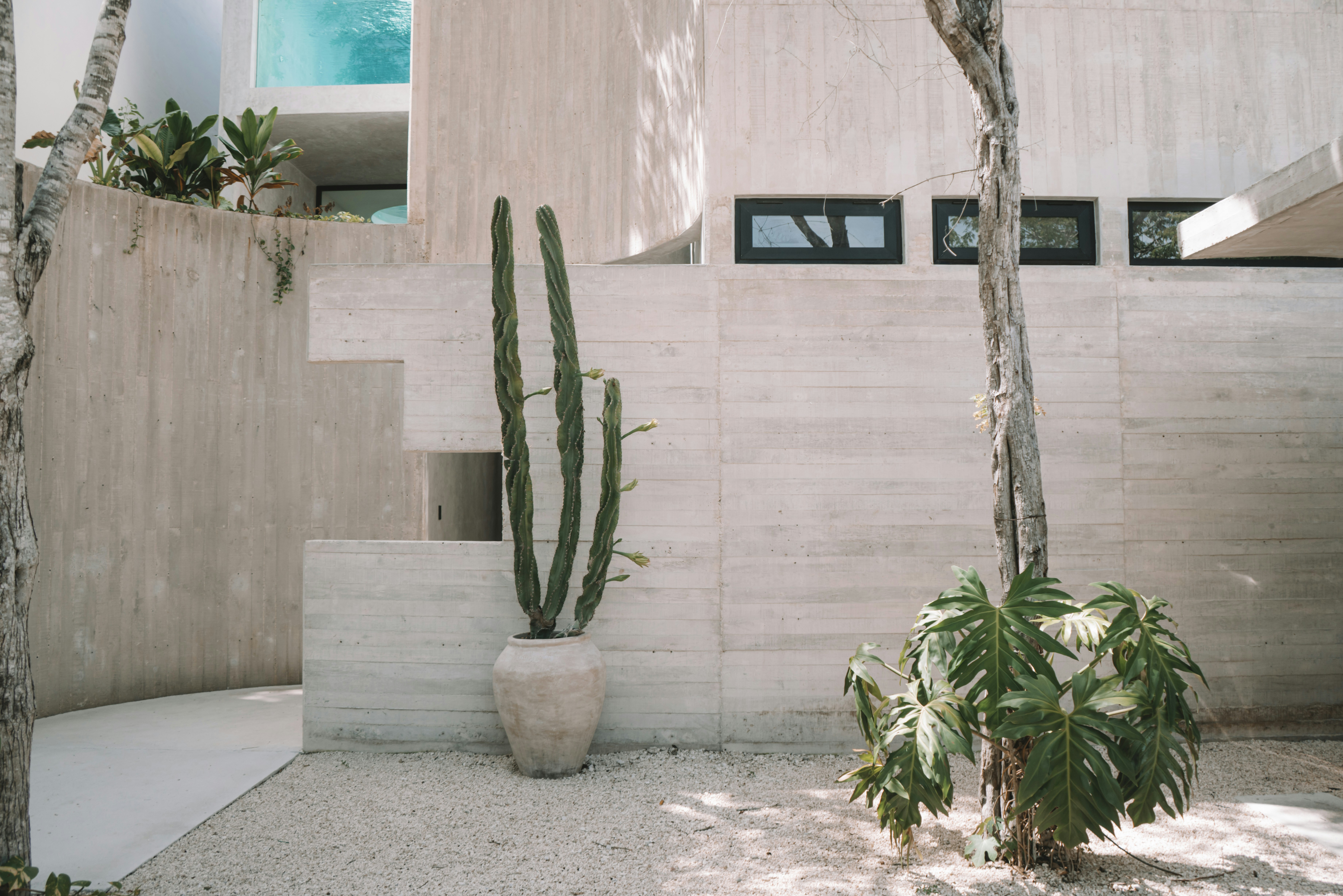 Photo by fitogarciaa