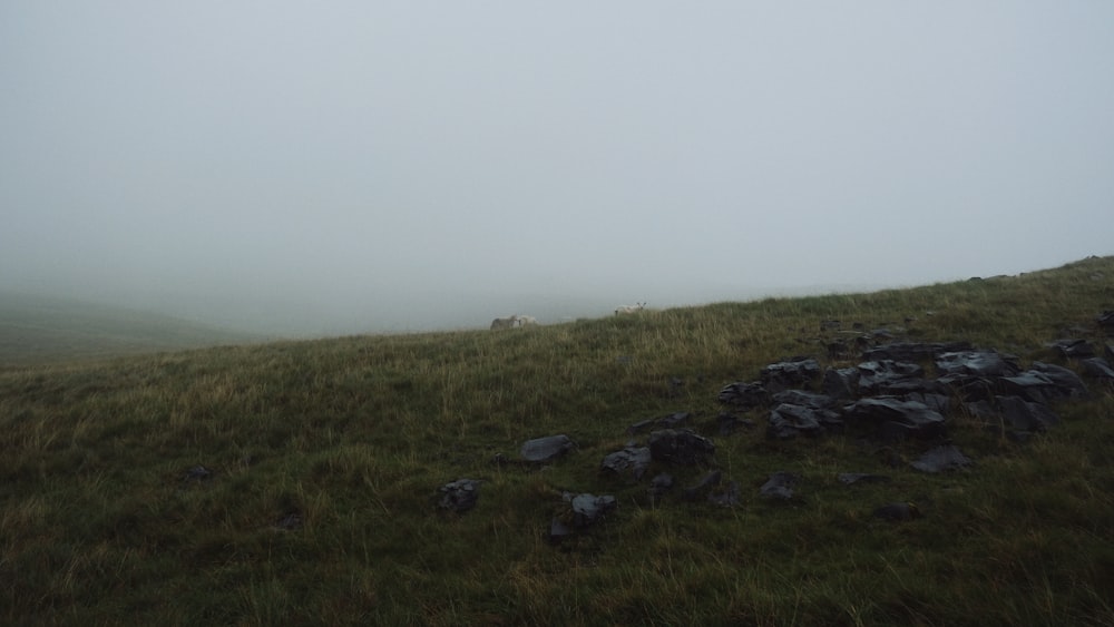 a grassy hill covered in rocks and grass