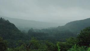 Kasaragod