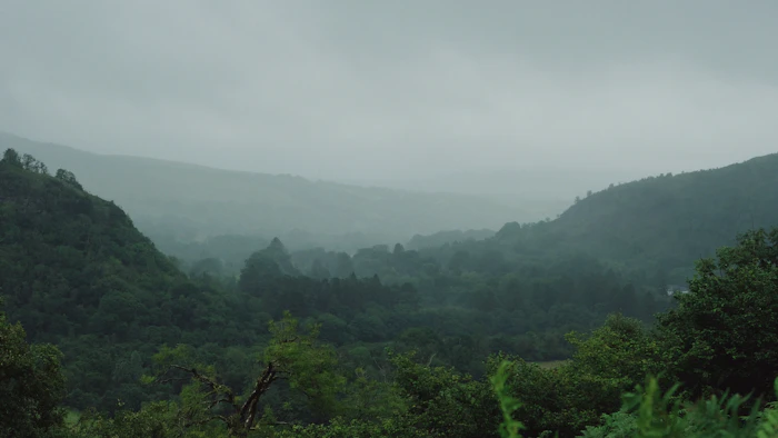 Monsoon Travel Guide