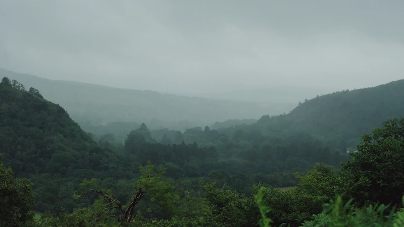 Monsoon Travel Guide to Kasaragod: What to Do, Where to Go, and What to Skip