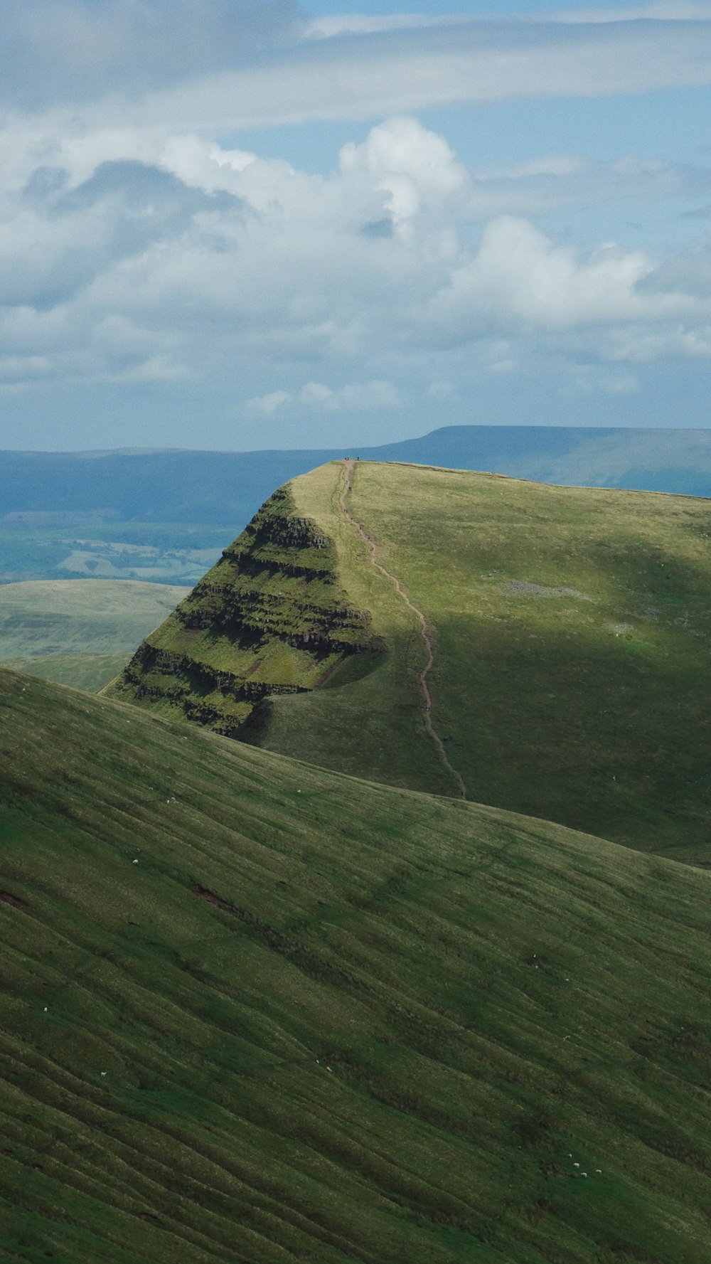 a sheep standing on top of a lush green hillside