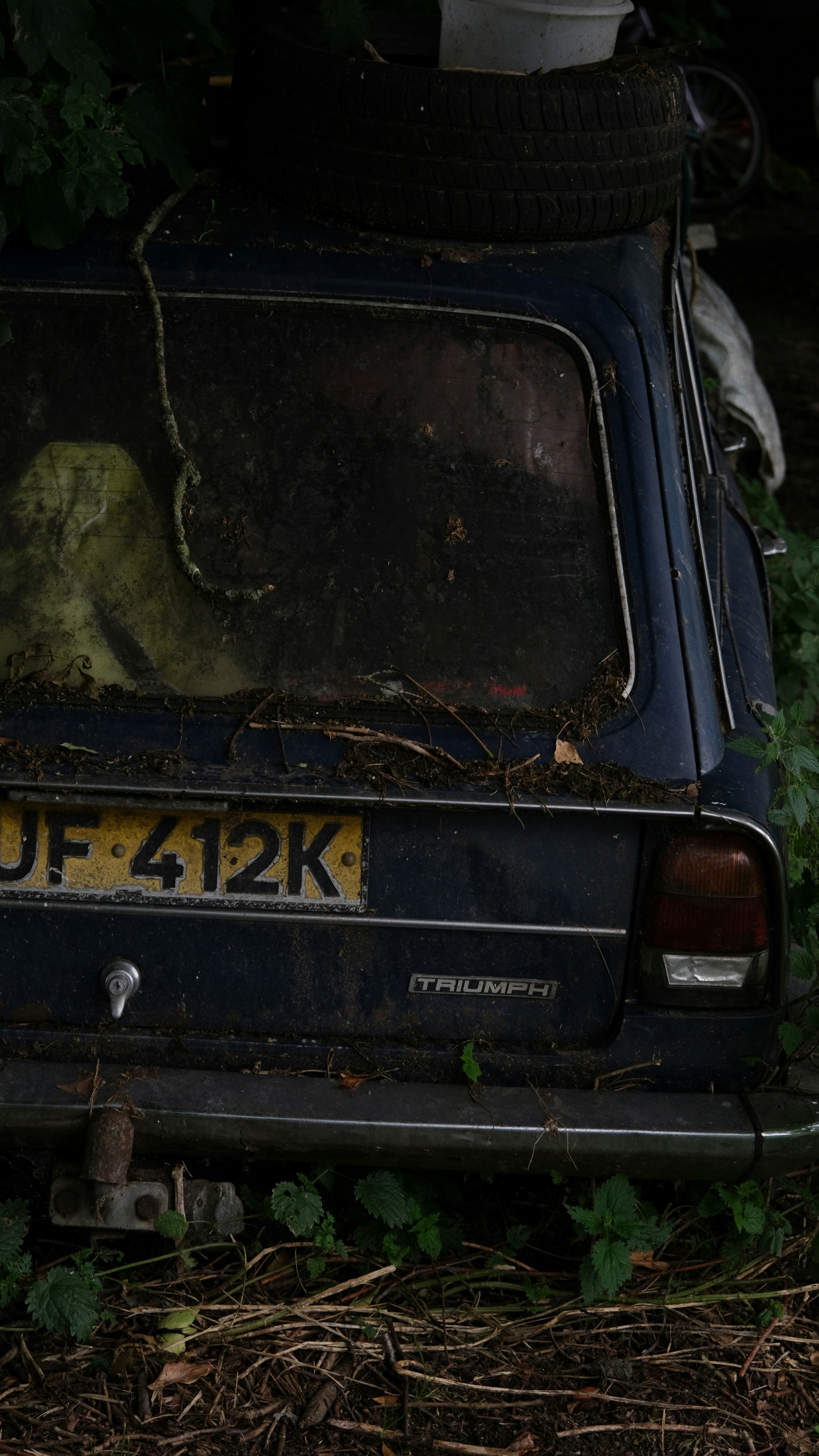 an old car with a cat in the window