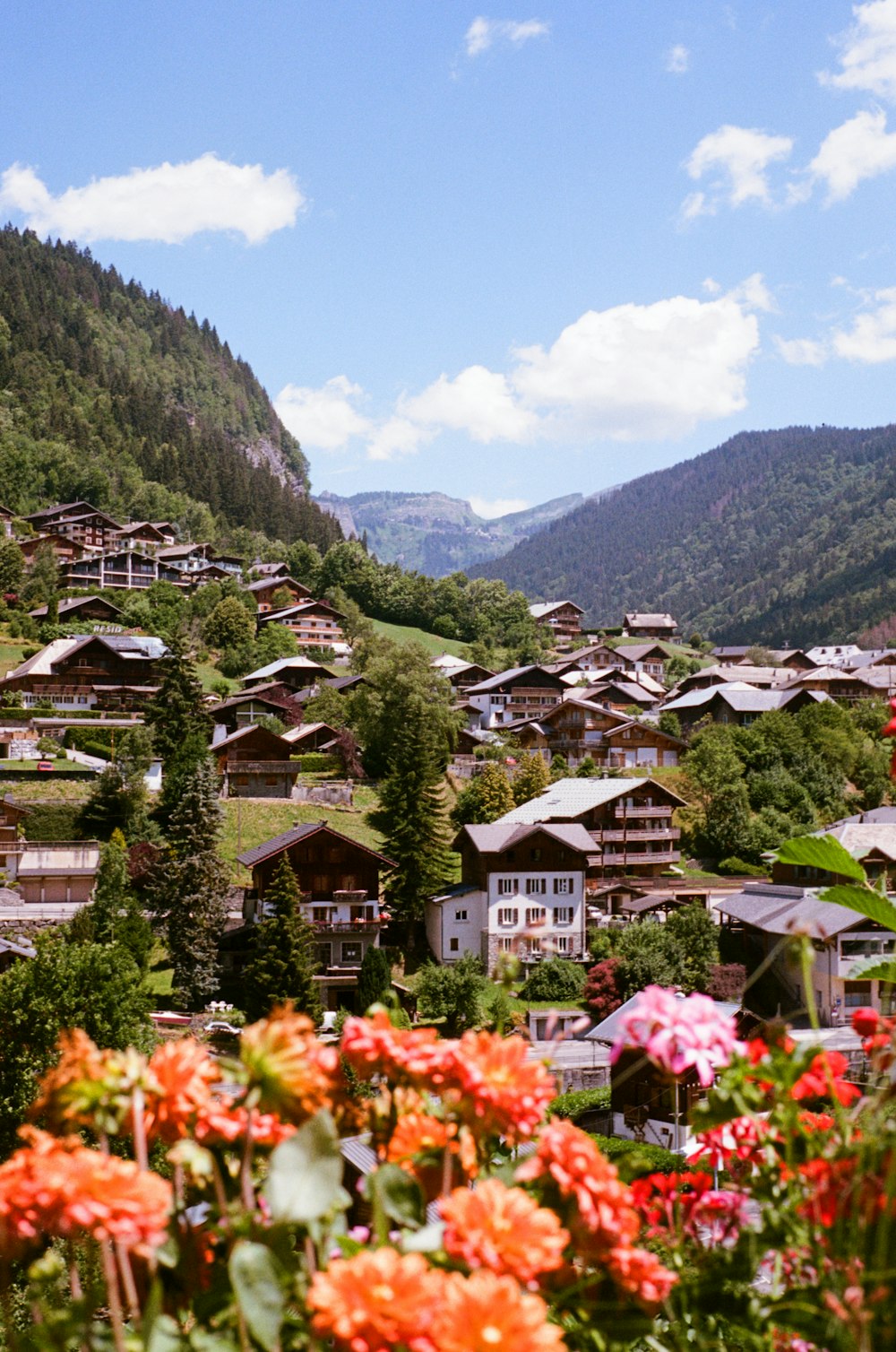 Una vista de un pueblo en las montañas con flores en primer plano