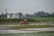 A rural landscape featuring a field with wet, cultivated patches and a red tractor in the background. The tractor is surrounded by a flock of white birds. There are power lines running across the scene and buildings visible in the distance, with trees scattered around.