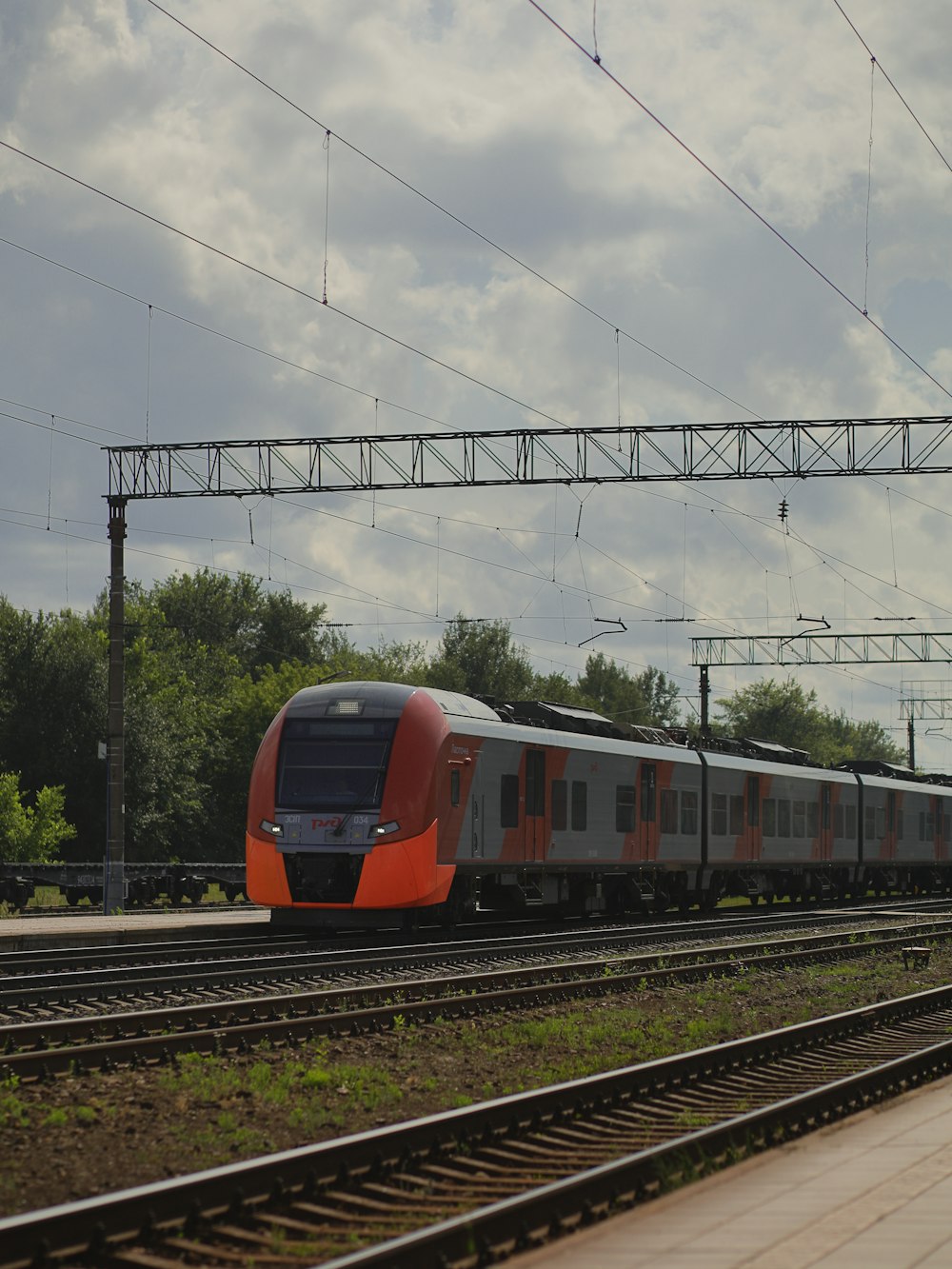 a train traveling down train tracks next to a forest