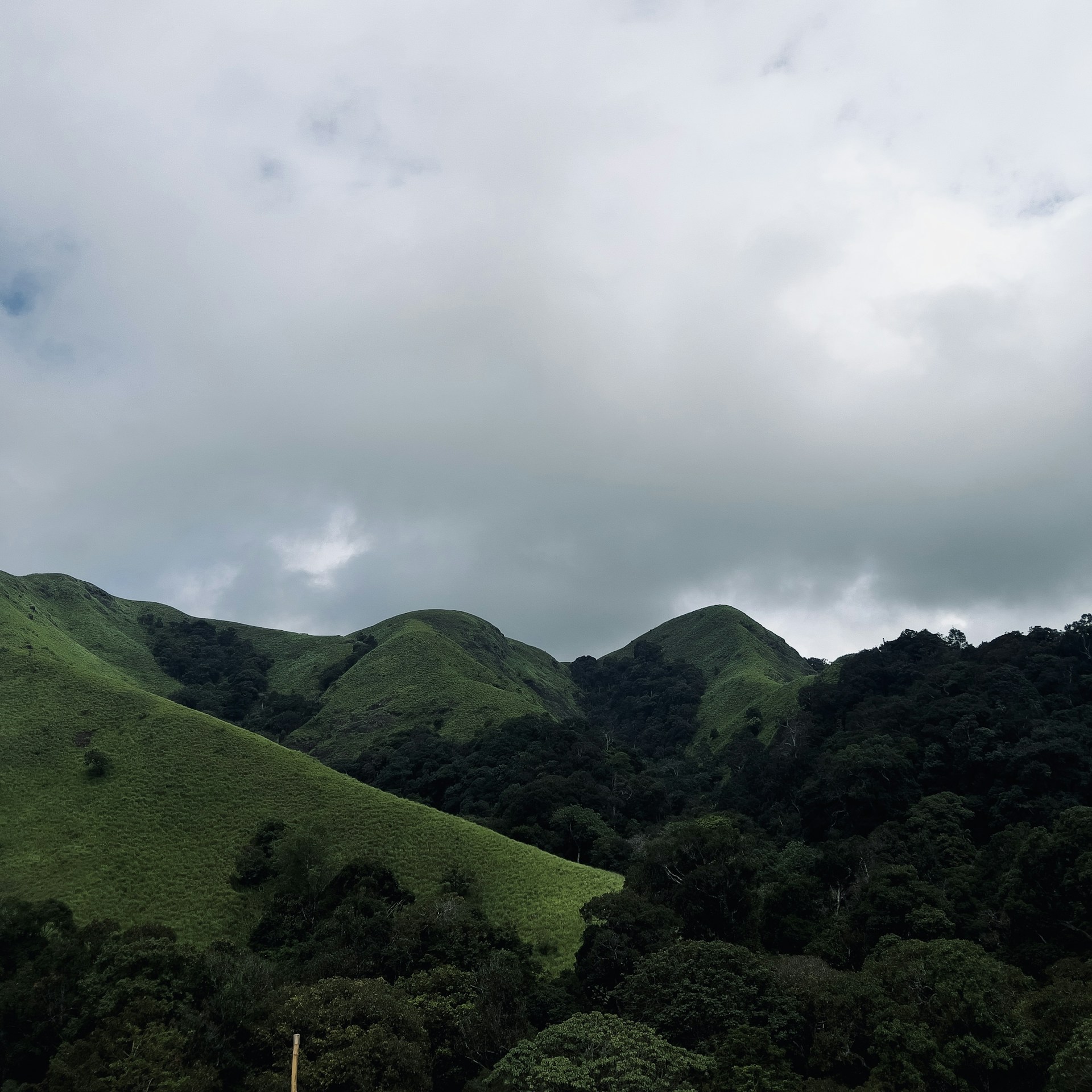 Rolling green hills under a gentle grey sky, with a winding river cutting through the landscape, capturing the quiet beauty of the Irish countryside.