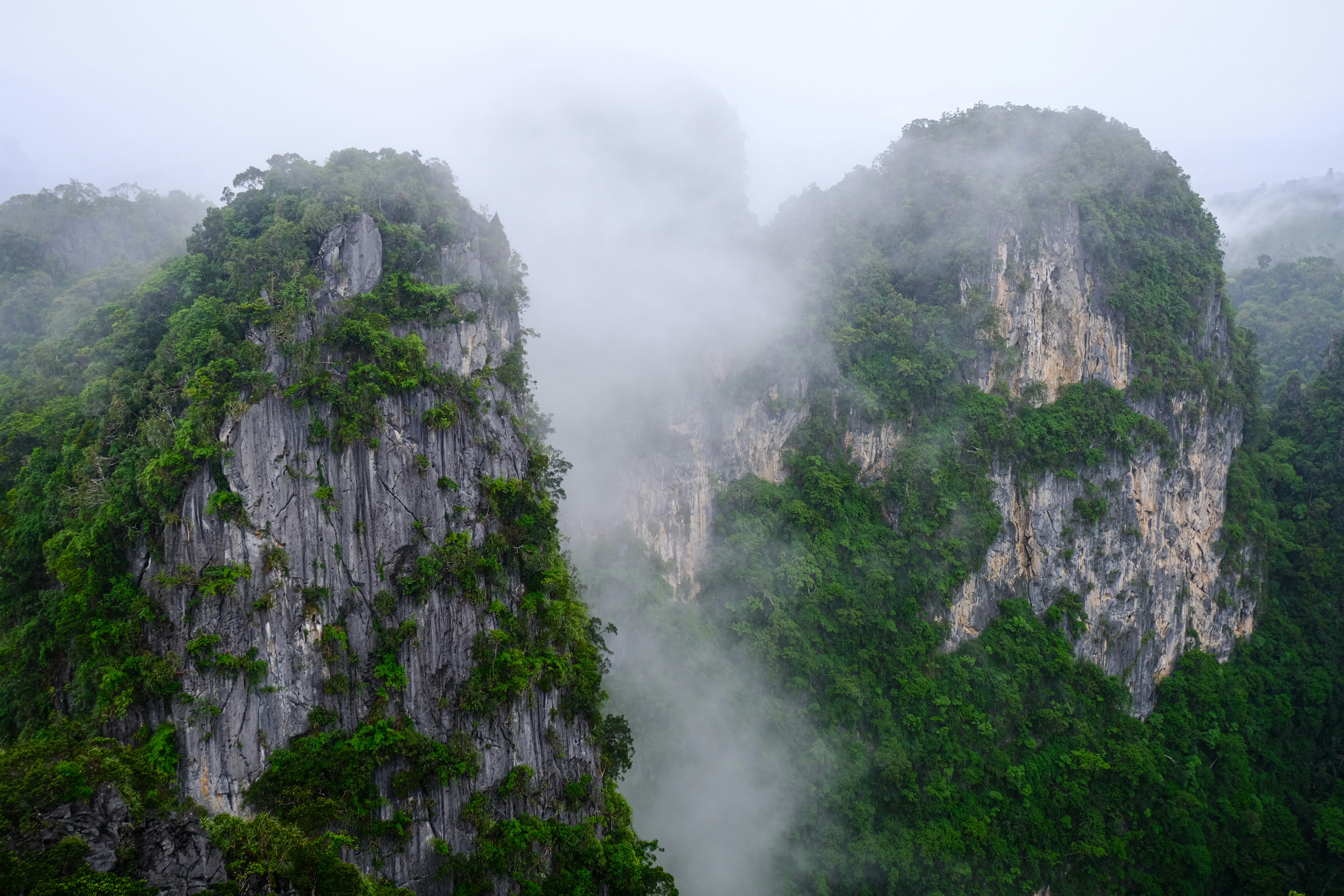 Photo by ashiksvisual