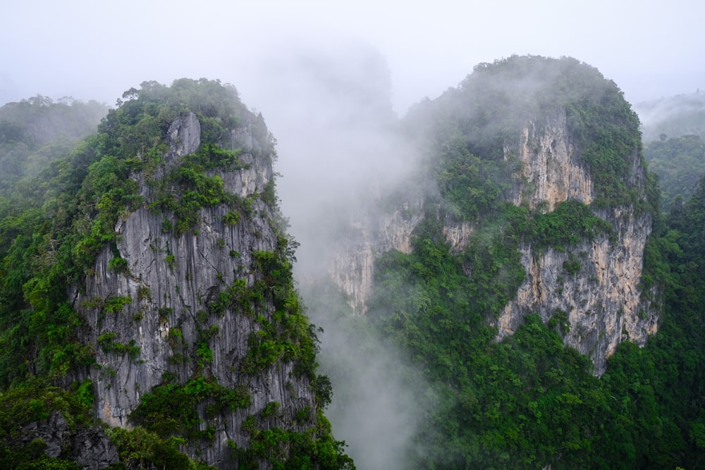 Una montagna molto alta con molti alberi in cima