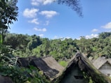 A rustic jungle lodge nestled among dense tropical trees under a bright sky.