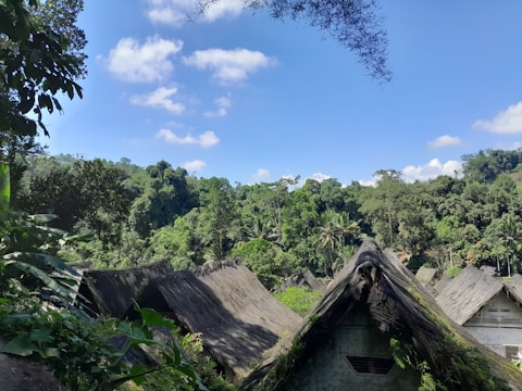 A cluster of rustic, thatched-roof houses nestled in a lush green jungle landscape, framed by vibrant trees and foliage under a bright blue sky with scattered clouds.
