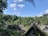 A cluster of rustic, thatched-roof houses nestled in a lush green jungle landscape, framed by vibrant trees and foliage under a bright blue sky with scattered clouds.
