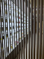 Glass jars filled with pantry essentials, lined up on a wooden shelf with sunlight streaming in.