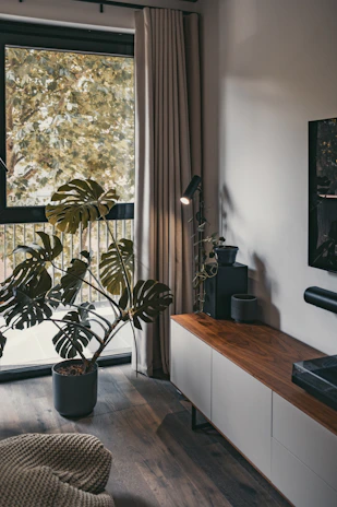 A stylish living room corner featuring minimalist decor and a lush green plant.