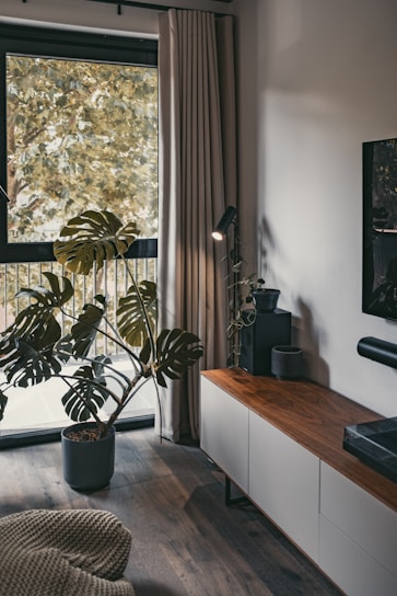 A cozy living room corner with lush green plants and natural light streaming through a window.