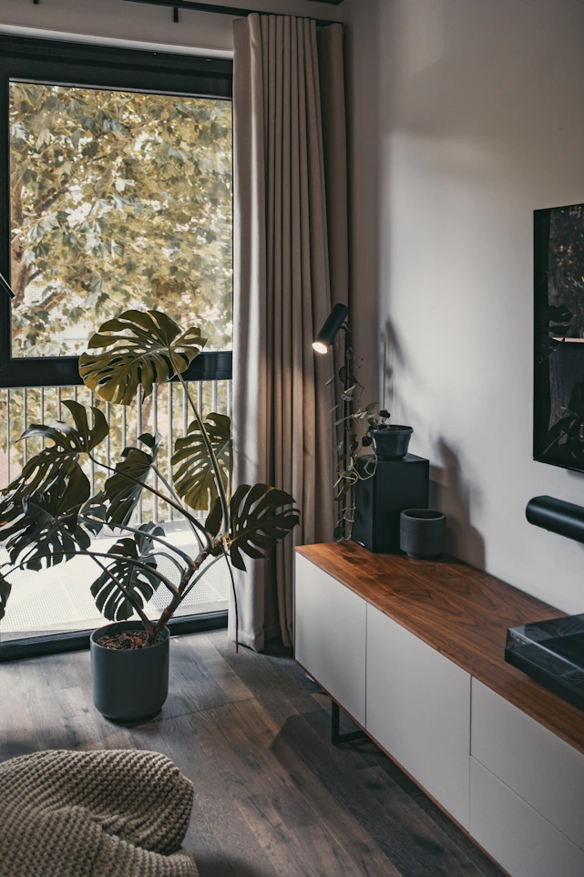 Cozy living room corner with lush indoor plants and natural light streaming through a window