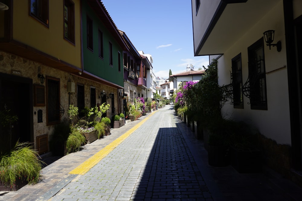 a narrow street lined with buildings and potted plants