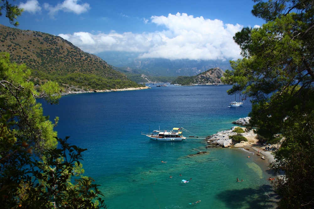 a body of water surrounded by trees and mountains