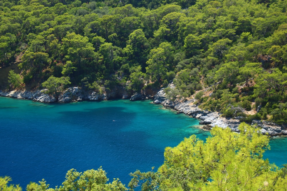 a body of water surrounded by trees and rocks