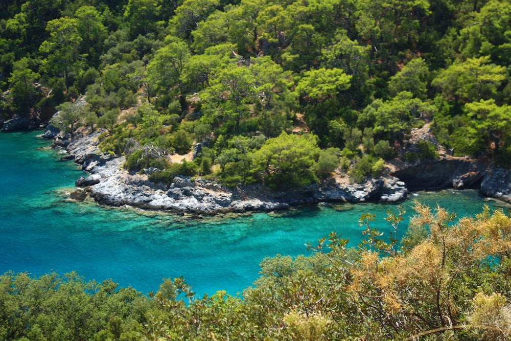 a body of water surrounded by trees and rocks