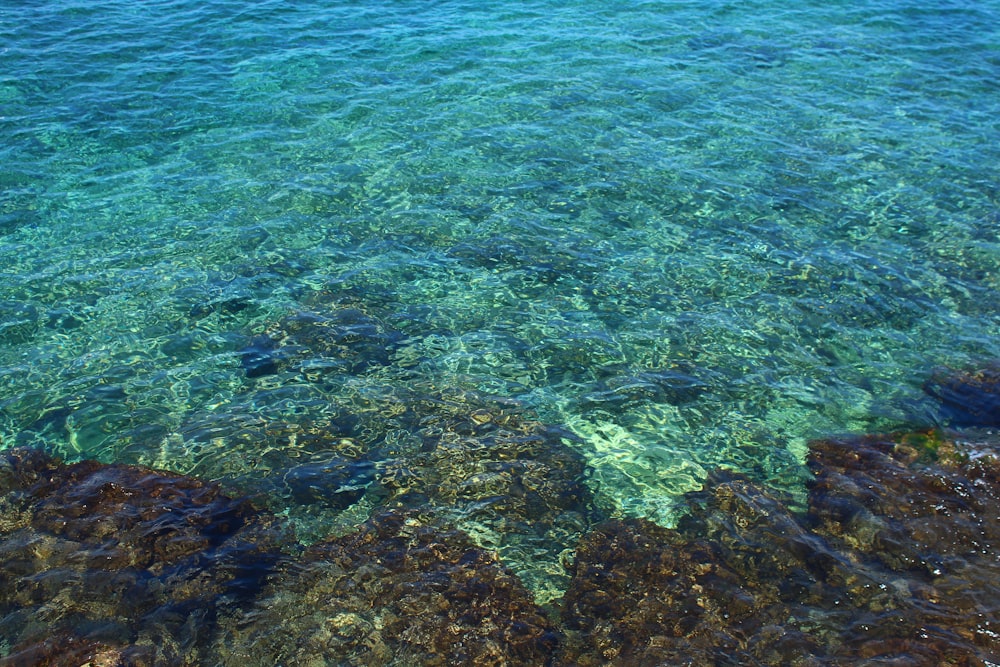 the water is crystal clear and blue