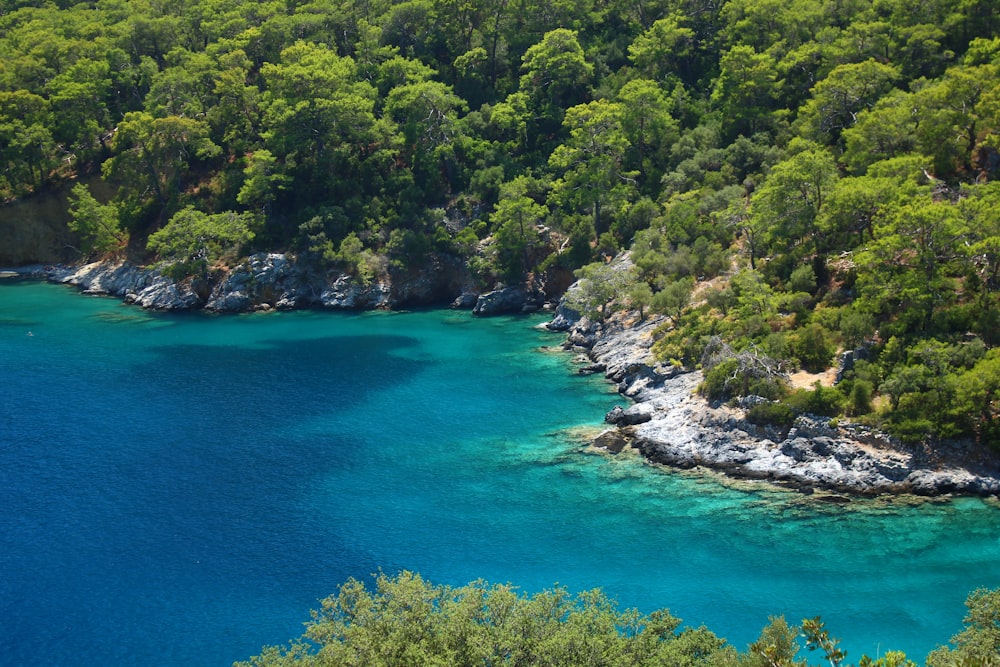 a body of water surrounded by trees and rocks