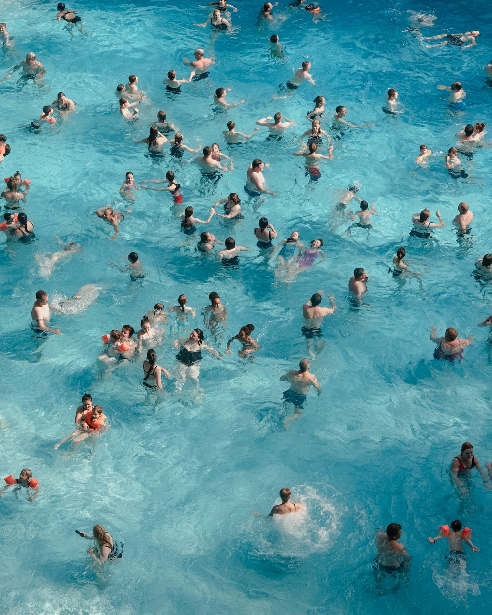 a large group of people swimming in a pool
